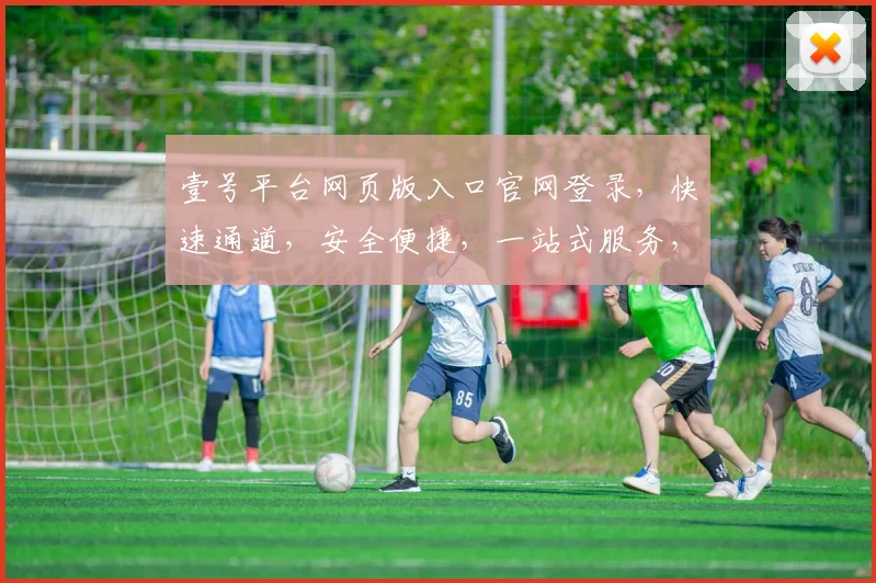 壹号平台网页版入口官网登录，快速通道，安全便捷，一站式服务，尊享体验，三步直达