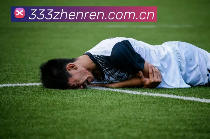 333体育真人百家乐平台生态图
